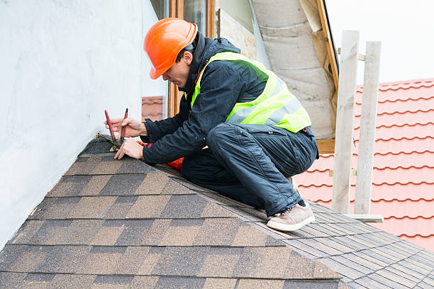 Roof Gutter Cleaning in Oak Harbor, OH